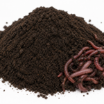 Vermi Compost 10kg