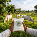 A2 Desi Milk 1ltr