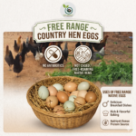Country Eggs(6 pack)