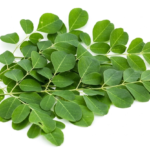 Fresh Moringa Leaves 100gms